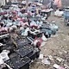 01.10.2020 / Çin’de 5 Bin Hayvan Depoda Ölü Olarak Bulundu!