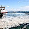 14.06.2021 / Marmara Denizi İçin Kurul Oluşturuldu