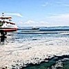 14.06.2021 / Marmara Denizi İçin Kurul Oluşturuldu