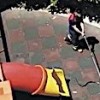 11.05.2021 / Sitenin Çocuk Parkında Yakalanan Yılan, Doğaya Salındı
