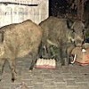 04.10.2020 / Marmaris’te Kaydedilen Görüntüler Tartışma Yarattı!