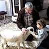 01.03.2021 / 2 Yaşındaki Ela Kuzusunu Biberonla Besliyor
