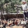 06.07.2021 / Orman Kurmak İçin Tavuklarını Satışa Çıkardı: Çocuğum Olmuyor, Dünyaya Ağaç Bırakmak İstedim