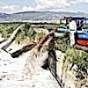 19.06.2021 / Tarlayı Zehirle Suladılar: Balıklar Öldü, Ürünler Kurudu…