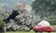 Safaride Korku Anları-2