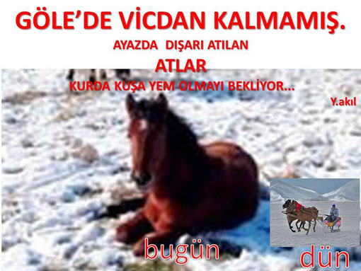 Göle'de Vicdan Kalmamış!