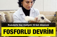 Fosforlu Devrim