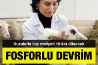 Fosforlu Devrim