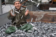 'Soğuklardan Korunmak İçin Her Gün Balık Yiyin'