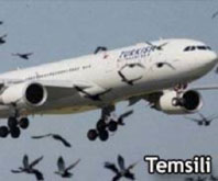 THY Uçağının Motoruna Kuş Sürüsü Girdi!