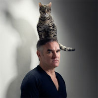 Morrisey-2