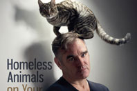 Morrisey-3