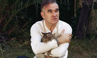 Morrisey-4