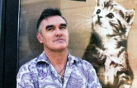 Morrisey-6