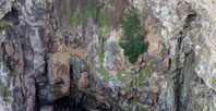 Cehennem