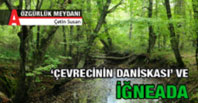 Çevrecinin Daniskası