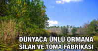 Dünyaca Ünlü Ormana Silah ve Toma Fabrikası