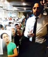 Yavru Kedi Direnişi-1