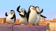 Madagaskar Penguenleri