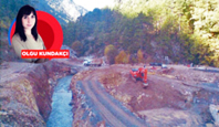 Kilometrelerce Orman Yok Olacak