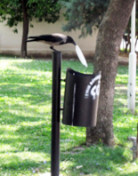 Karga'dan Kılavuz