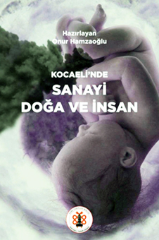 Onur Hamzaoğlu / Kocaeli'nde Sanayi, Doğa ve İnsan