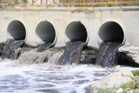 Ergene'de Zehir Akıyor