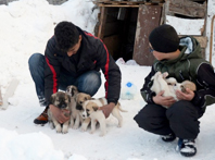 Harçlıklarını Sokak Köpekleri İçin Harcıyorlar