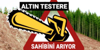 Altın Testere Ödülü