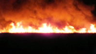 Şili'de Orman Yangını