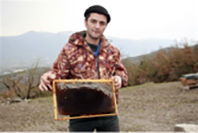 Arı Ölümleri
