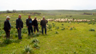 Danişment Merası