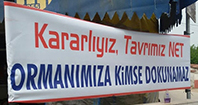 Ormanımıza Kümse Dokunamaz