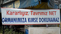 Ormanımıza Kimse Dokunamaz