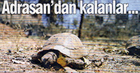 Adrasan'dan Kalanlar