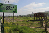 Botanik Parkı