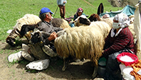 Yayla Vakti