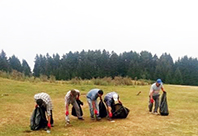 Yayla Temizliği