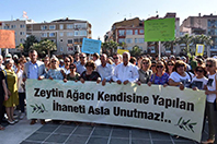 Zeytin Ağacı Kendisine Yapılan İhaneti Asla Unutmaz!