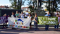 Zeytinime Dokunma