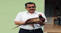 Doğaya Kazandırılan Sülünler