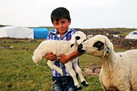 Koyungözü Yaylası'ndan Bir Fotoğraf