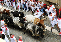 Pamplona Sokakları