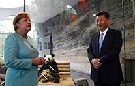 Xi ve Merkel Panda Diplomasisinde
