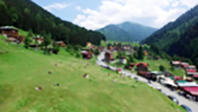 Ayder
