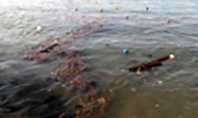 Denizi Kirletenlere Ceza