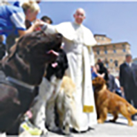 Papa Köpeklerle Birlikte