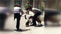 Pitbull Dehşeti