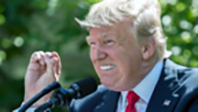 Trump, Donald