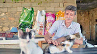 Turğut, Mehmet Ali